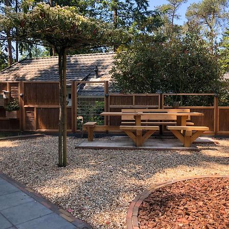 Veluwe Vakantiehuis - Bosuil Lodge Lunteren Esterno foto