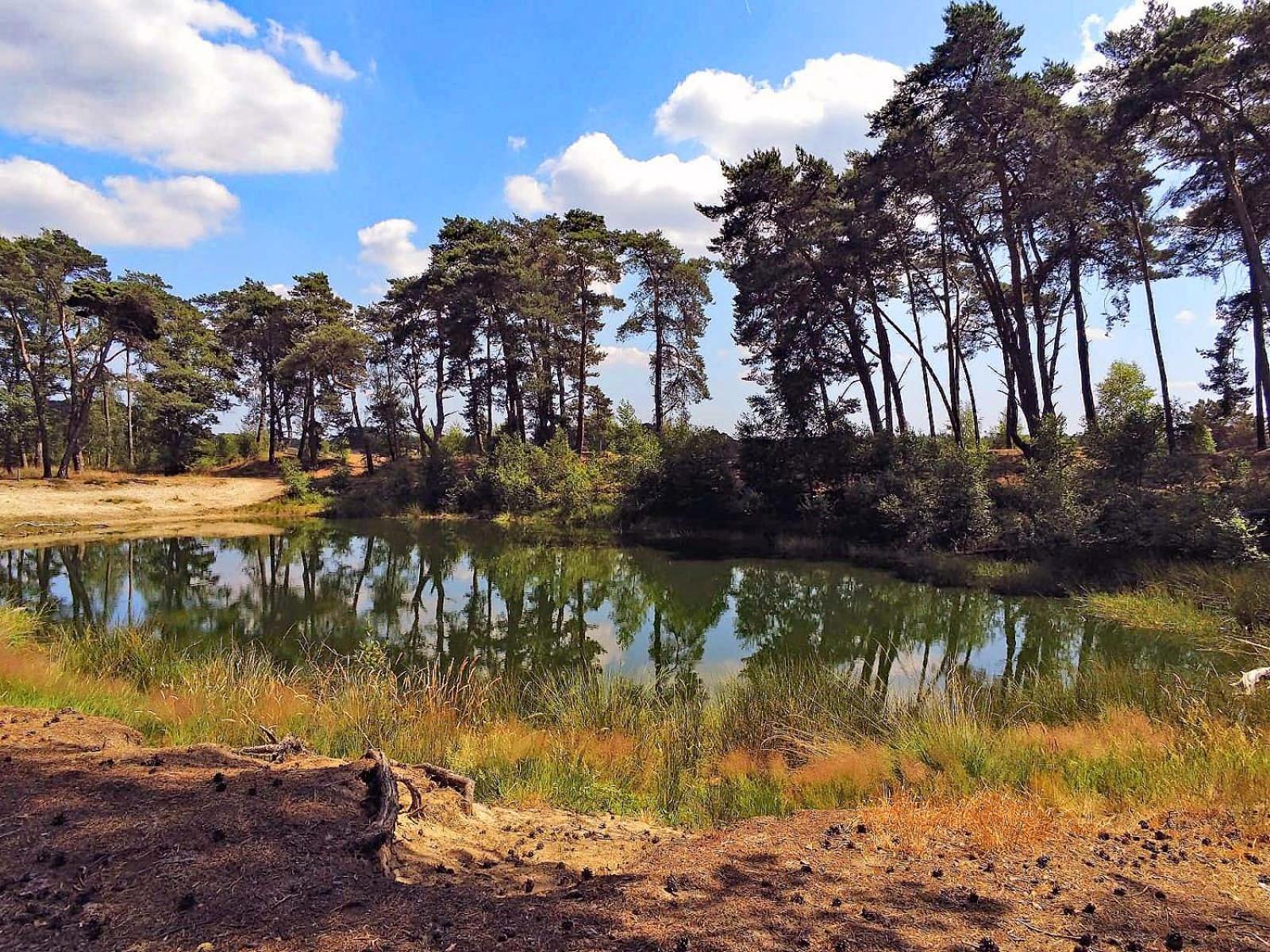 Veluwe Vakantiehuis - Bosuil Lodge Lunteren Esterno foto